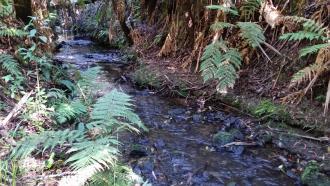 Down stream