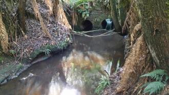 Upstream