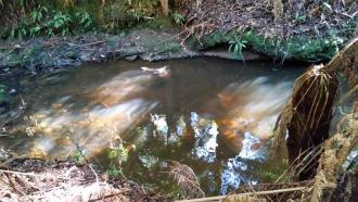 Across Stream