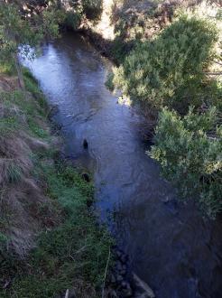 Downstream from bridge