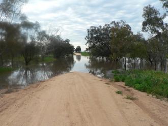 Current Flood