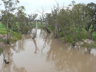 Upstream Guthries Bridge 2nd Flood