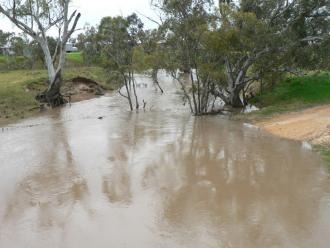 Downstream Guthries Bridge 2nd Flood