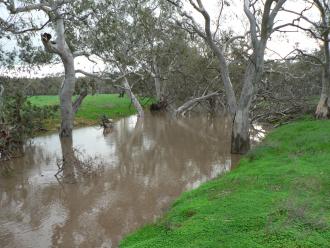 Avon River Photo’s show the current flow