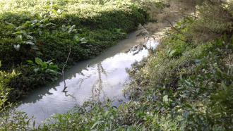 Blind Creek sample site