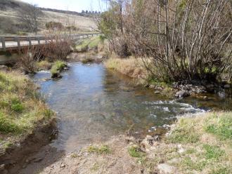 Water Quality testing site