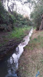 Stony Creek, MS0660, downstream