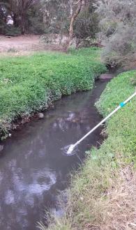 Stony Creek, Cruikshank Park, MSO670, downstream