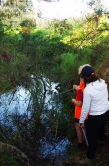 Measuring the width of the creek