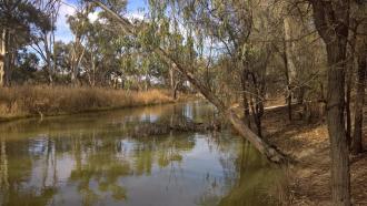 Upstream