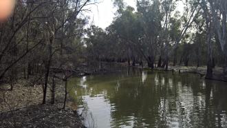 Downstream
