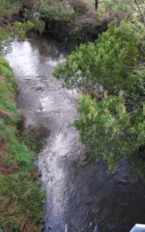 Downstream photo, taken from bridge