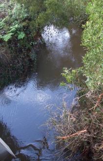 Upstream photo, taken from bridge