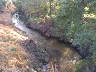 View north from bridge