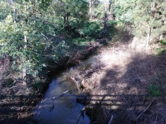 View south from bridge