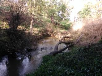 View south from under bridge