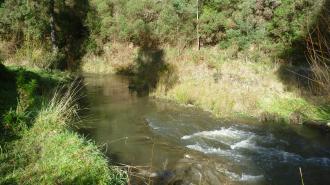 Nice view bend of Morwell River Apex Park.