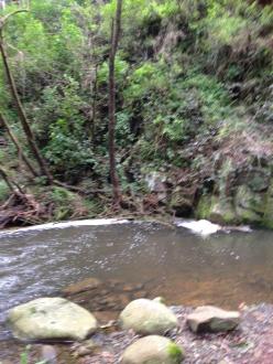 foam - collects at the river bend