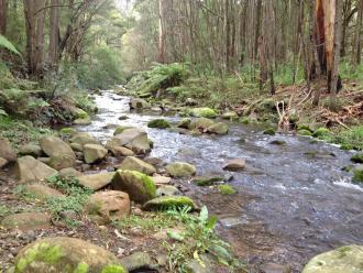 upstream
