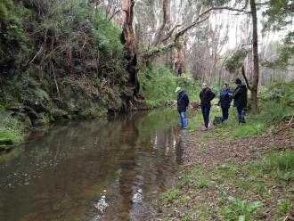 downstream view
