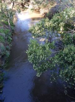 Downstream from bridge