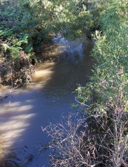 Upstream from bridge