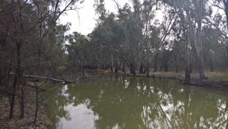 Downstream
