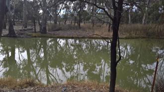 Site