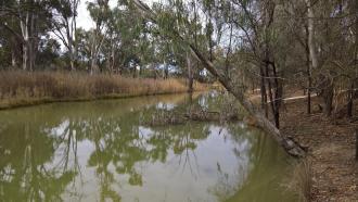 Upstream