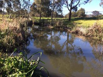 upstream