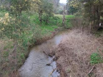 View south from bridge