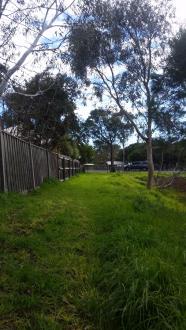 Neighbours are close to the pond