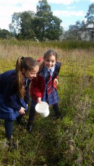 Collecting water sample