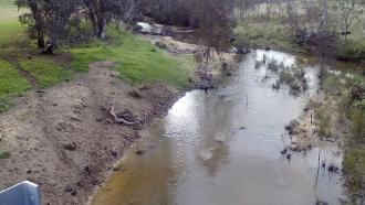 Cattle and sheep access