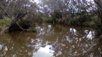 Looking upstream from ford