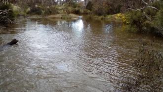 Looking downstream from ford