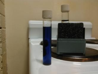 P too high to measure at 1:5 dilution