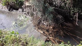 debris across creek upstream of sample site