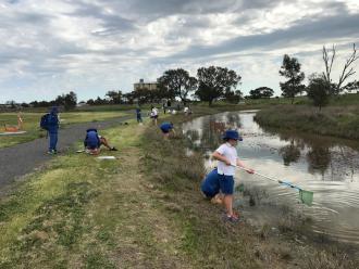 Wetland Wander Term 3