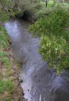 Downstream from bridge