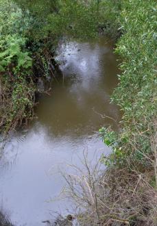 Upstream from bridge