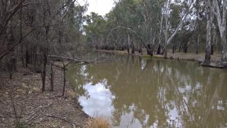Downstream