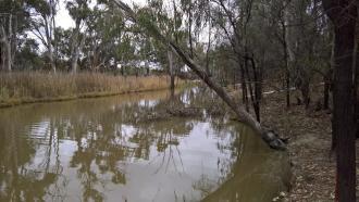 Upstream