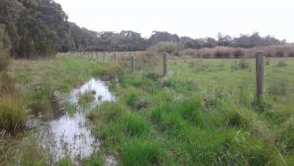 Water flowing over track to sampling site. Appeared to be coming from vegetation to the right which looks like it is surrounding a dam