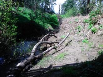 View south from under bridge. Large slump/collapse of bank into channel.