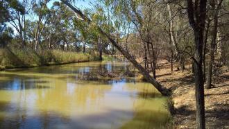 Upstream