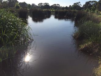 lake
