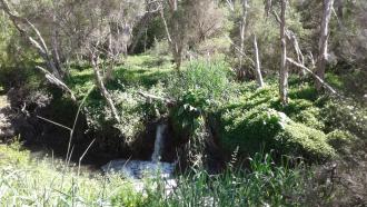 Instream to Dandenong Creek from Boral drainage showing 2 instreams and erosion between