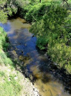 Downstream from bridge