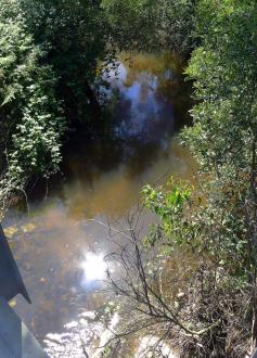 Upstream from bridge